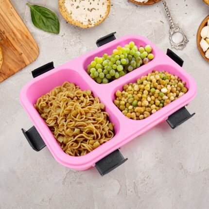 Insulated Plastic 3-Compartment Lunch Box (1 Piece